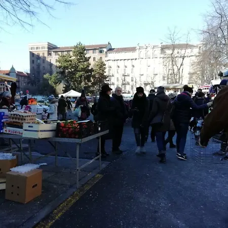 Διαμέρισμα Il Nido Del Picchio 2 *